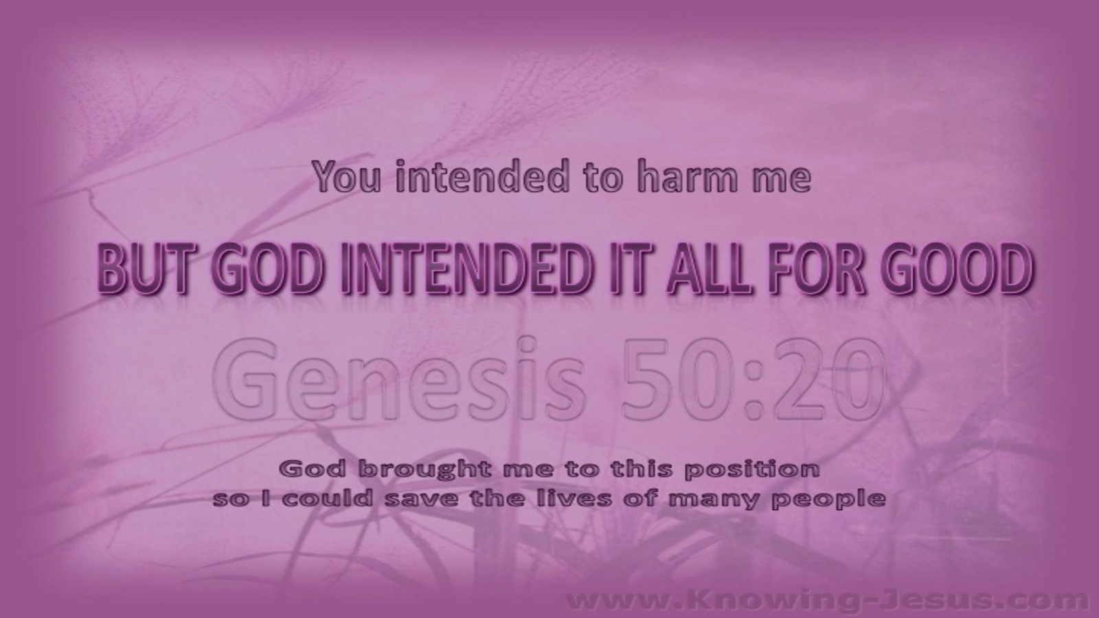 Genesis 50:20 Good From Evil (pink)